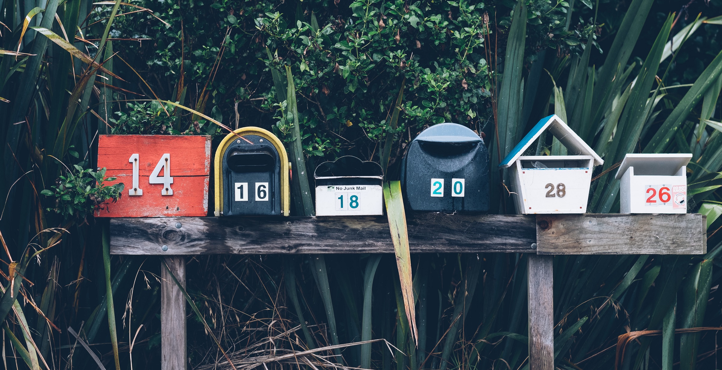 Colorful row of mailboxes in front of lush greenery