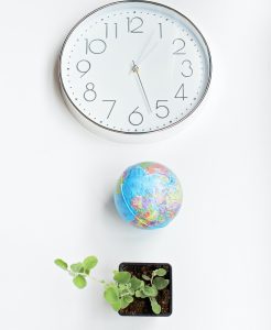 Wall clock, globe of the Earth, and a plant