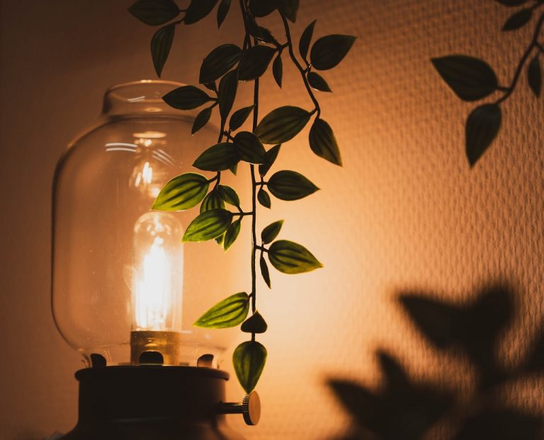Close up of a lamp with vining plant