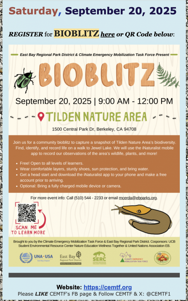 Relax and Meet on the Tilden Area Bioblitz Nature Walk