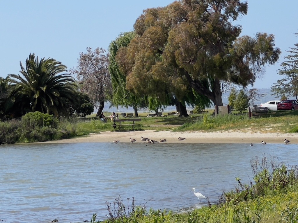 Contact elected officials at Martinez City Hall
