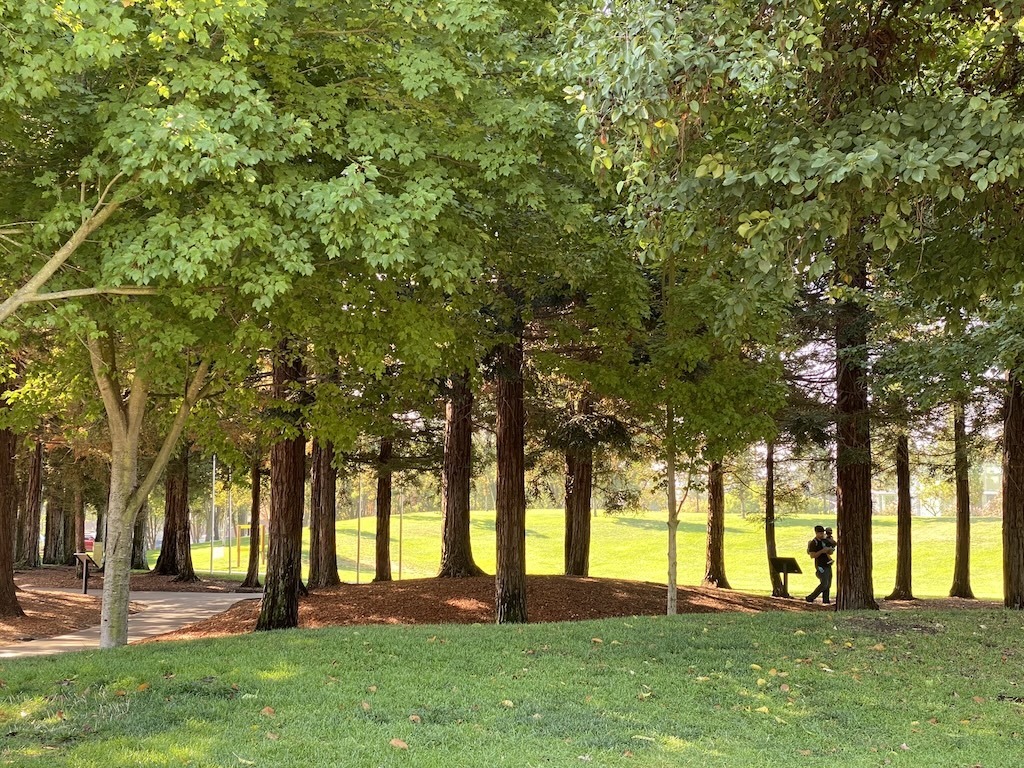 San Ramon CA’s pledge to climate action includes maintaining its urban forest, open spaces, and 60+ parks