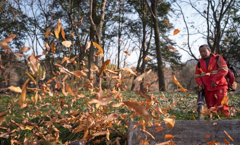 Gas Leaf Blowers Are Polluting Contra Costa—It’s Time to Stop. A maintenance worker moves dried autumn leaves with a gas-powered leaf blower. Image credit: Pexels