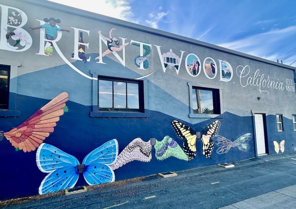 Education, outreach, and engagement campaign needed | Downtown Brentwood, CA Butterfly Wall Mural | Image credit: Anne Grenier