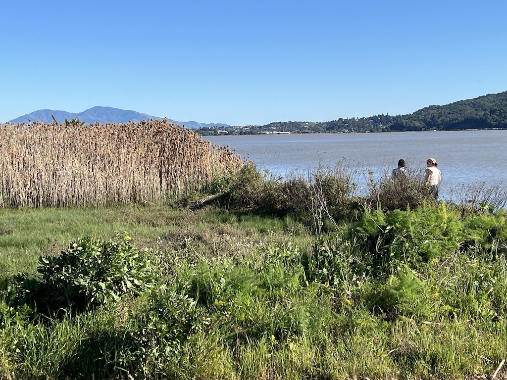 Refinery Pollution Fines / Benicia, CA People walking along the wetlands bordering the Carquinez Strait Image credit: Christine Stevens