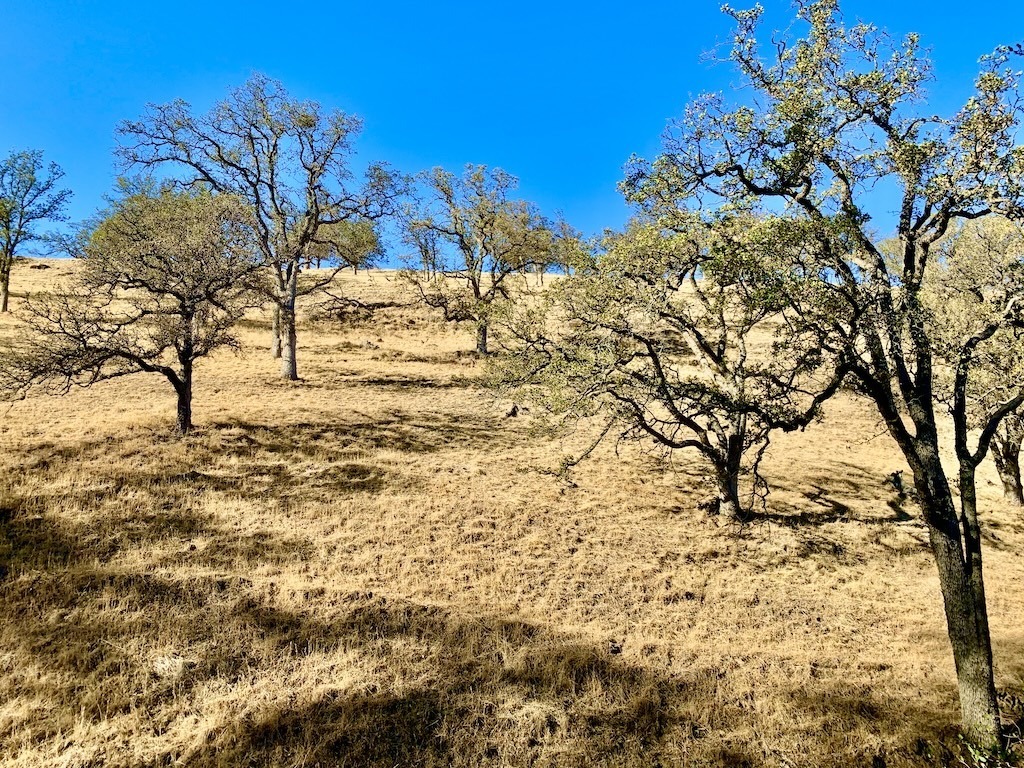 Preserving Nature amid growing urbanization | Round Valley Regional Preserve, Brentwood, CA | Image credit: Anne Grenier.