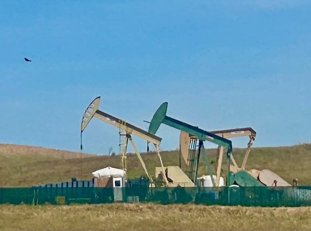 Oil Drilling Pumpjacks with Bird Overhead, Antioch, CA. Photo by Anne Grenier. Antioch (94509 & 94531) Climate Action & Advocacy - 350 Contra Costa Action Antioch (94509 & 94531) Climate Action & Advocacy - 350 Contra Costa Action