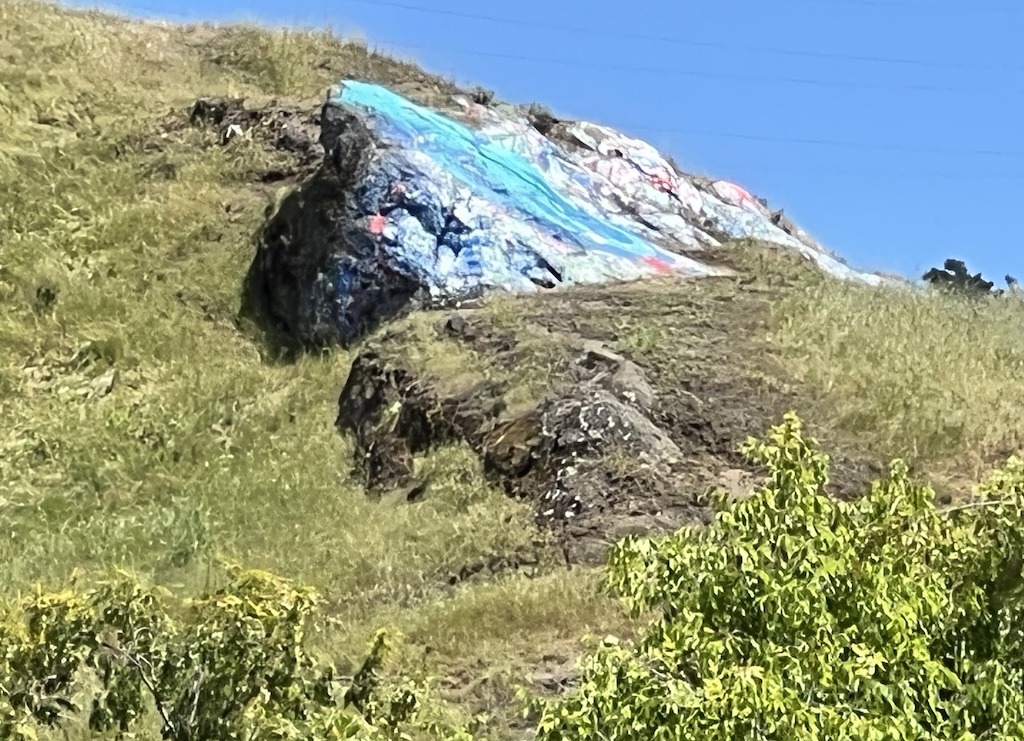 Painted rock--an annual ritual for Moraga high school students Image credit: Christine Stevens Moraga CA Climate Action & Advocacy - 350 Contra Costa Action Moraga CA Climate Action & Advocacy - 350 Contra Costa Action