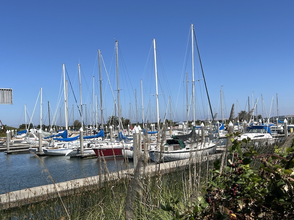 Sailboats at the Antioch marinaImage credit: Volunteer Staff Photo Antioch (94509 & 94531) Climate Action & Advocacy - 350 Contra Costa Action Antioch (94509 & 94531) Climate Action & Advocacy - 350 Contra Costa Action