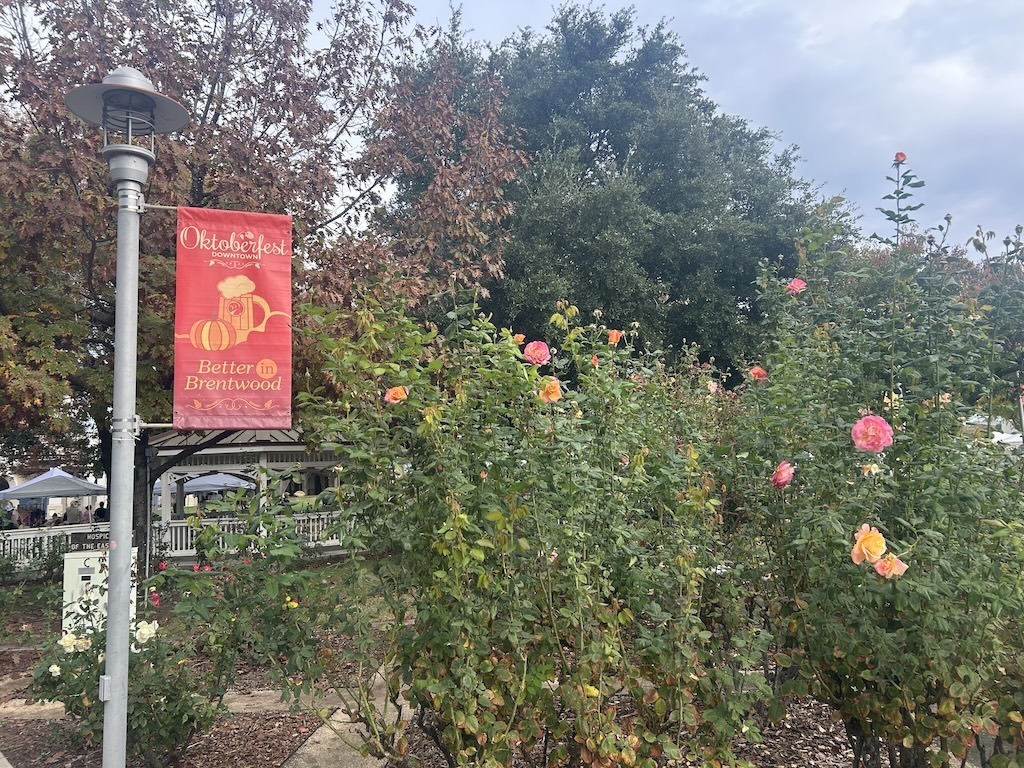Brentwood City Park Garden Image credit: Anne Grenier Brentwood (94513) Climate Action & Advocacy - 350 Contra Costa Action Brentwood (94513) Climate Action & Advocacy - 350 Contra Costa Action